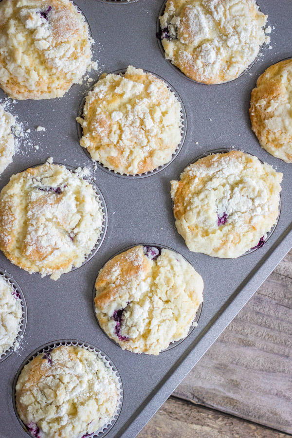 Lemon Blueberry Greek Yogurt Muffins in a muffin tin.