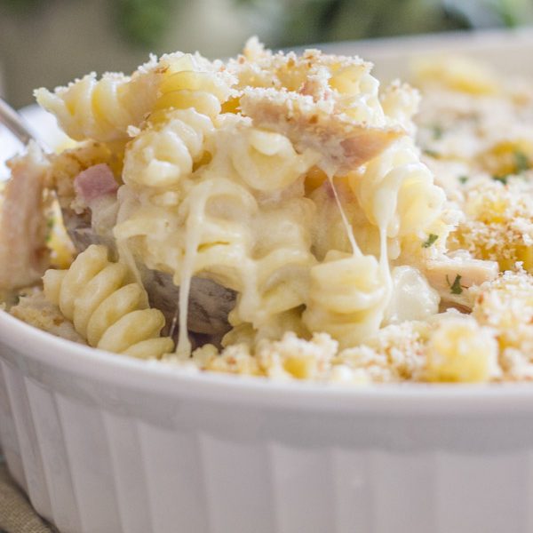 Chicken Cordon Bleu Pasta Bake - creamy pasta, melty swiss cheese, chicken, and ham all baked together and topped with homemade breadcrumbs.