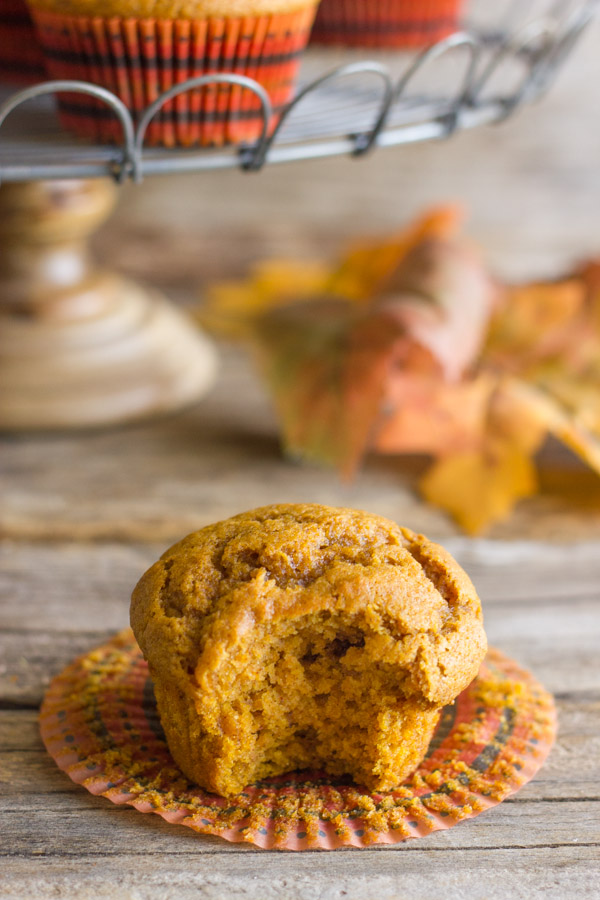 Best Ever Pumpkin Muffin