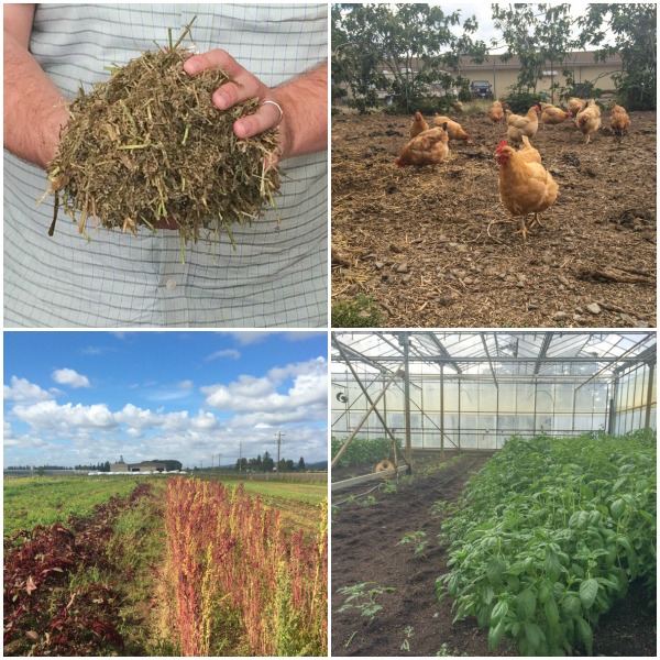 Pacific Foods - Pasture to Plate