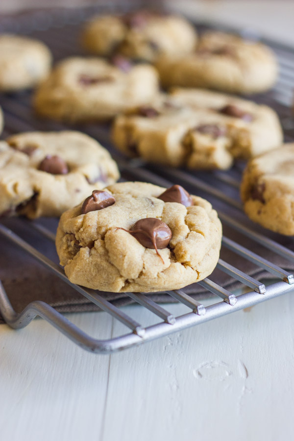 Peanut Butter Cookies With Peanut Butter Filled Chocolate Chips on a cooling rack.  