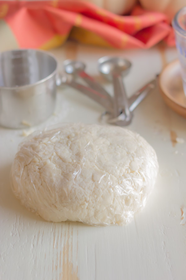 Pie Crust Tutorial Step 3 - pie dough wrapped with plastic, and shaped it into a round, flat disk.