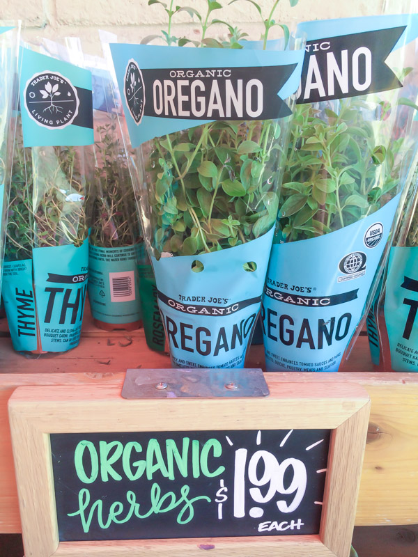 Trader Joe's Favorites - A list of my favorite things to buy from Trader Joe's.