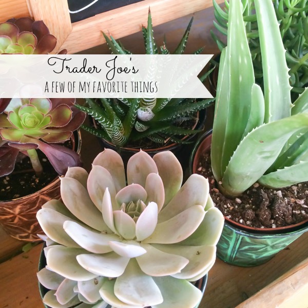 Trader Joe's Favorites - A list of my favorite things to buy from Trader Joe's.