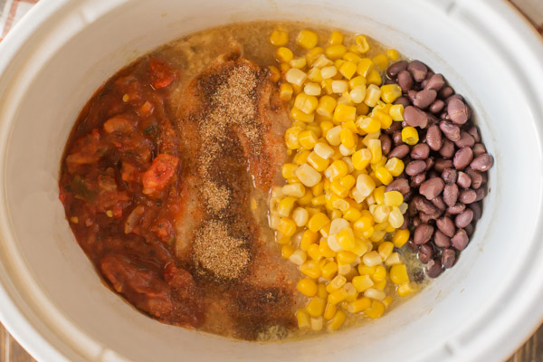 All the ingredients for Crockpot Salsa Chicken in a crockpot.  