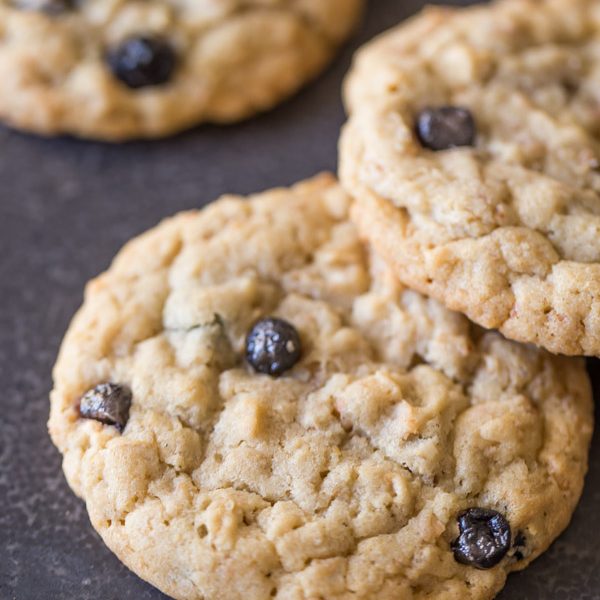 Blueberry White Chocolate Chip Cookies - A delightfully chewy cookie with dried blueberries, white chocolate chips, toasted coconut, and hearty oats!
