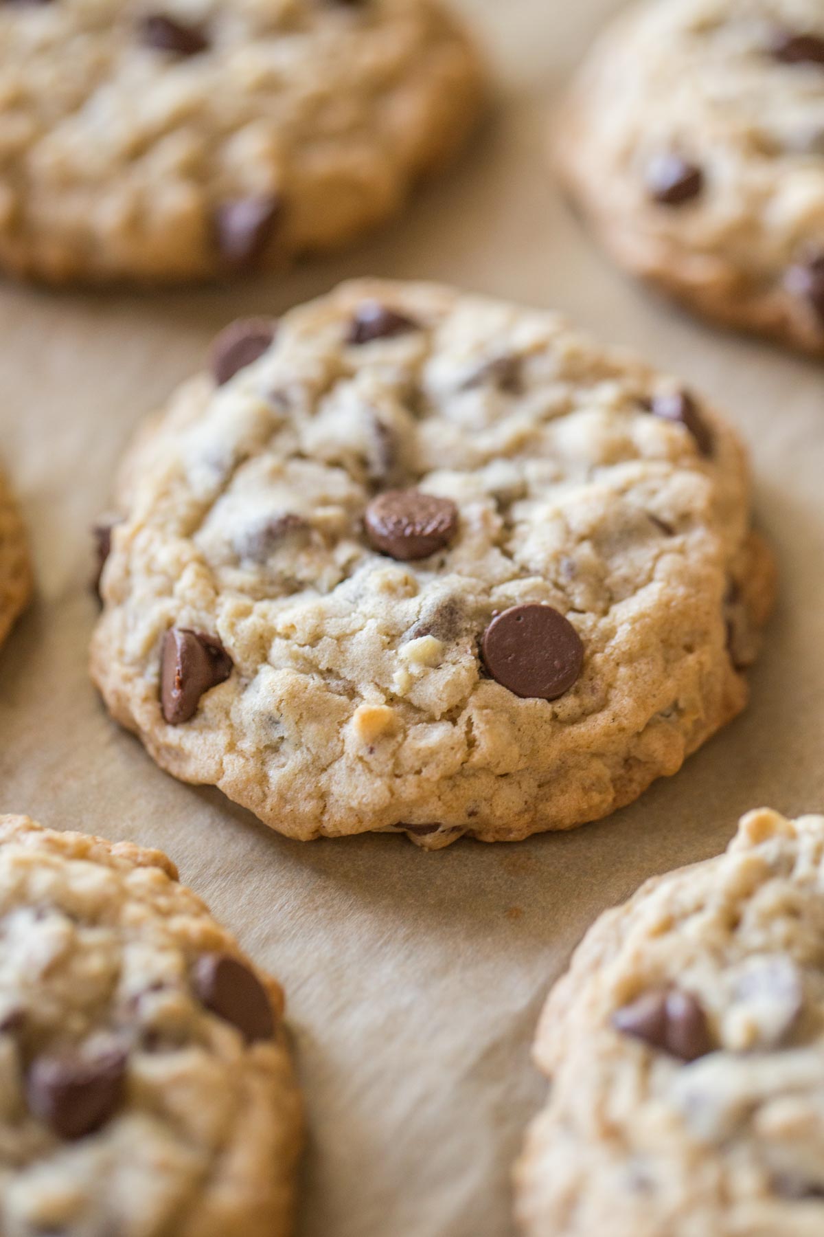 Bakery Style Oatmeal Chocolate Chip Cookies on a parchment paper lined baking sheet.