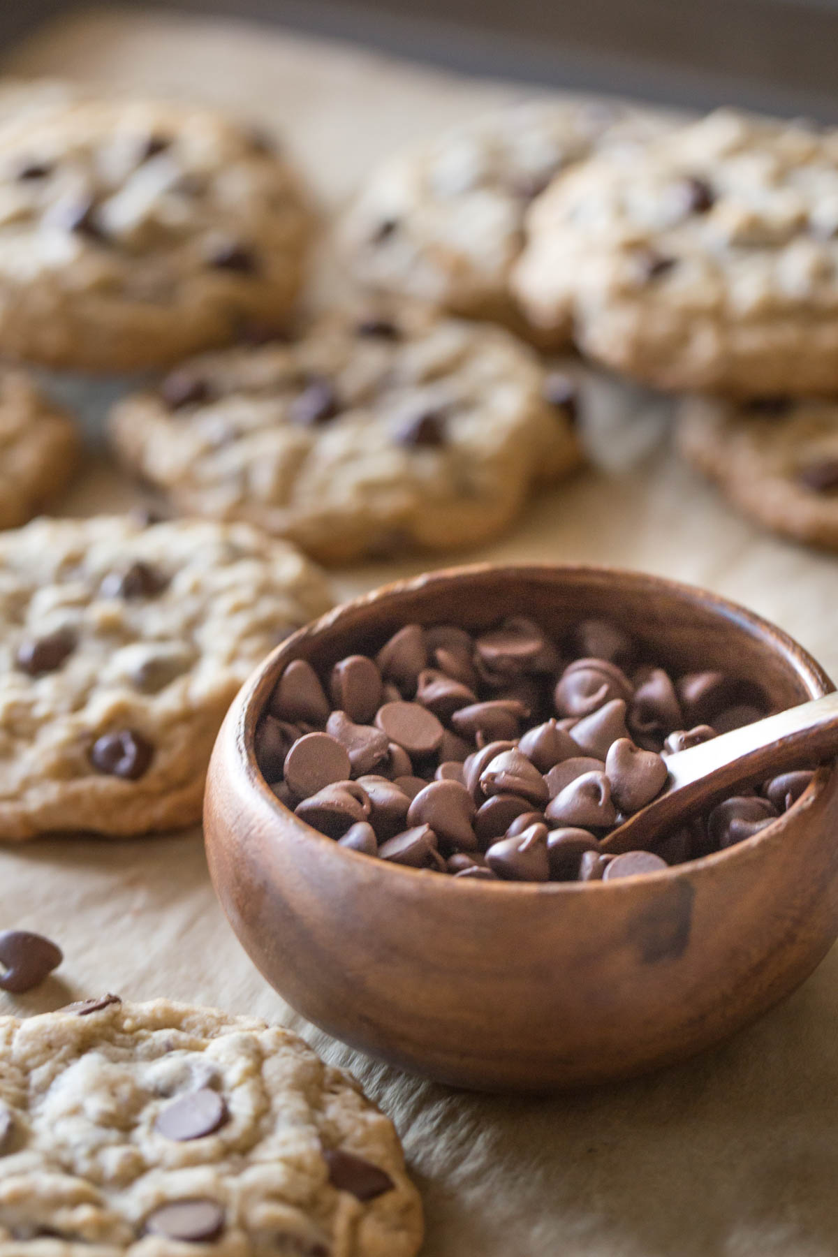 Bakery Style Oatmeal Chocolate Chip Cookies on a parchment paper lined baking sheet, along with a small wood bowl of chocolate chips.