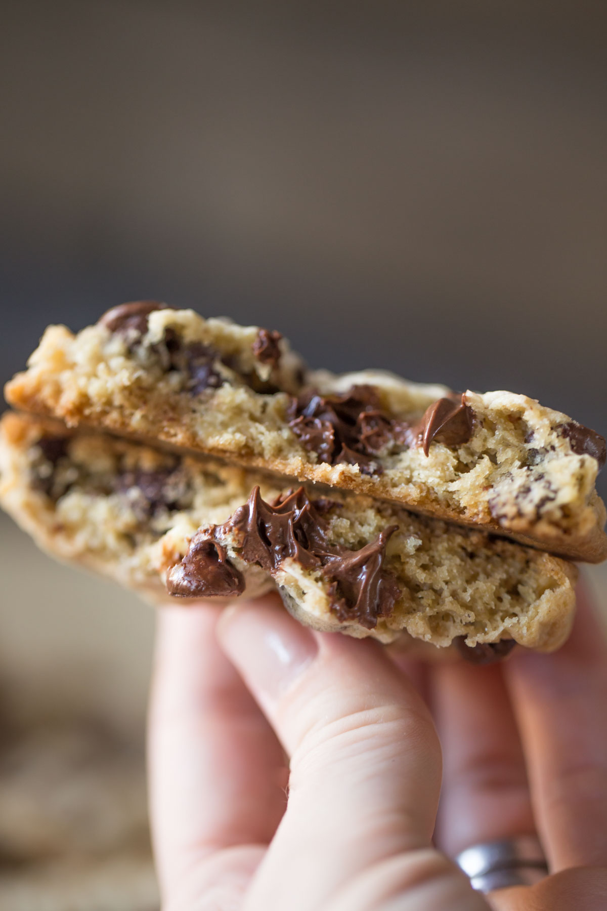 Big, thick, soft chewy Oatmeal Chocolate Chip Cookies, just like you'd find at your favorite bakery!