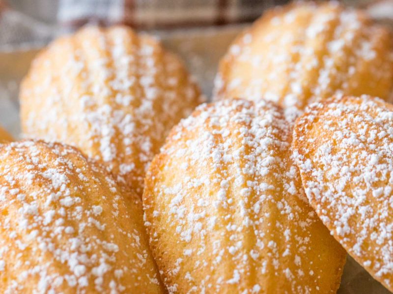 Close up view of Lemon Vanilla Madeleines with a dusting of powdered sugar.