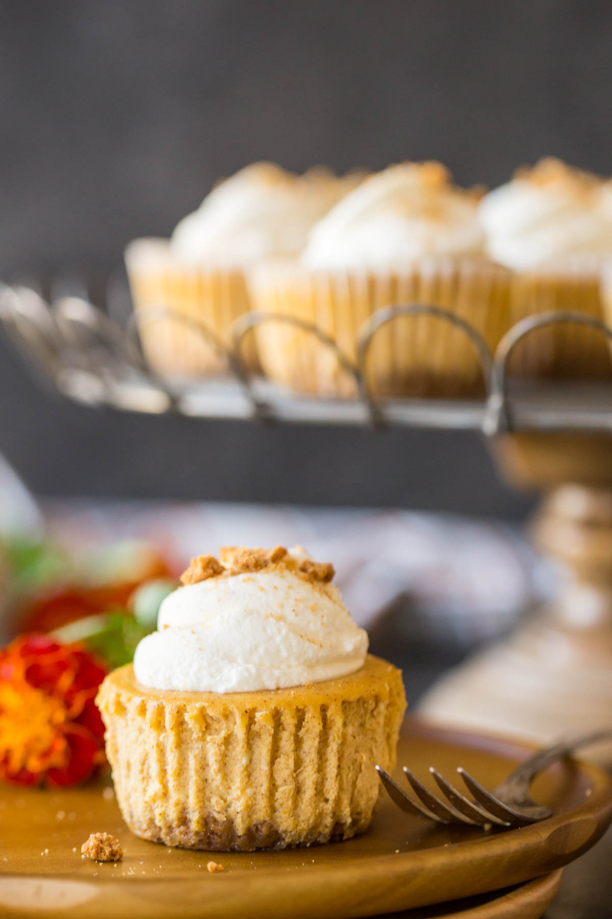 Straight on shot of pumpkin spice cheesecakes topped with whipped cream