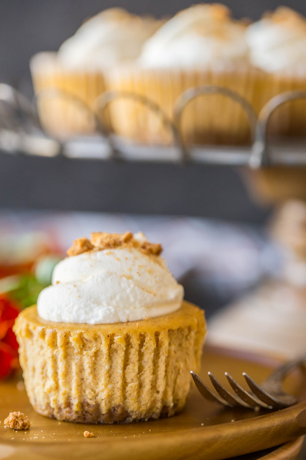 Close up shot of pumpkin spice cheesecakes topped with whipped cream