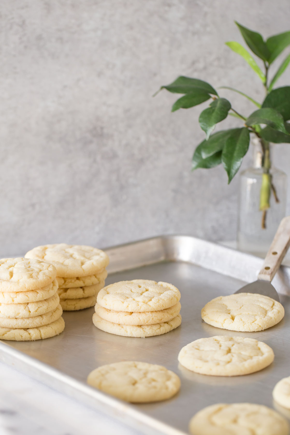 Overhead view of Soft and Chewy Sugar Cookies on a metal baking sheet.  