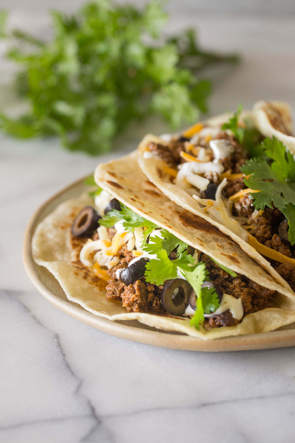 Two tacos topped with cilantro, black olives, and cheese on a plate.