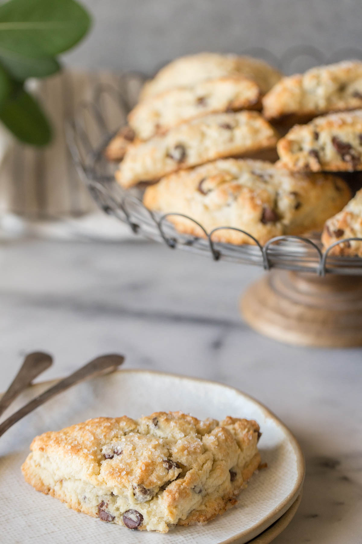 A Chocolate Chip Scone on a plate, with more Chocolate Chip Scones on a cake stand in the background.